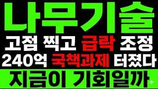 [나무기술 주가 전망] 240억 국책과제 잿팟! "외국인 올인" 이 가격 놓치면 끝?