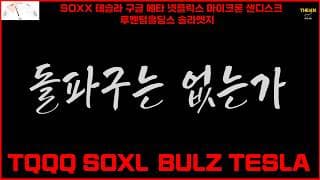 돌파구는 없는가? TQQQ SOXL  BULZ TESLA SOXX 테슬라 구글 메타 넷플릭스 마이크론 샌디스크 루멘텀홀딩스 솔라엣지