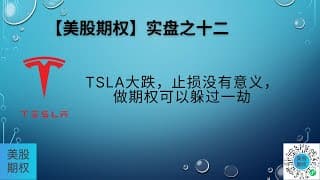 【美股期权】实盘十二，TSLA大跌，止损没有意义，做期权可以躲过一劫