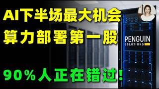 AI真正的隐形赢家曝光！不卖GPU，却卡住整个AI命门！市值仅戴尔的七十五分之一，下一轮爆发才刚开始！PENG #美股 #投資 #trading #ai #算力