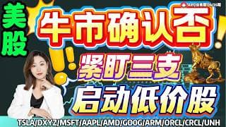 【美股4.16盘前解析】💥注意，美股牛市旗手启动？｜⚠️这三只低价股正启动！#美股 #crcl  #amd  #tsla#aapl #msft  #美股分析#mrvl #intc #dxyz#orcl