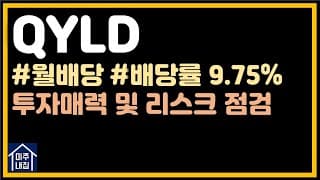 [미국ETF] 월 고배당ETF인 QYLD 투자매력 및 리스크 점검