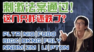 美股趋势分析｜刺激法案通过了 为什么这几只还跌了？ PLTR NIO FUBO BIGC DKNG FSLY NNDM ZM LI PTON PALANTIR DRAFTKINGS｜美股投资入门