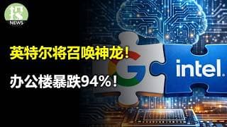 英特尔将召唤神龙！花旗押注存储！软件时代结束了！办公楼暴跌94%！