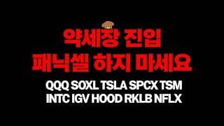 나스닥 약세장 진입, 변동성에 패닉셀 하지 마세요 ( SOXL TSLA SPCX TSM INTC IGV HOOD RKLV NFLX )