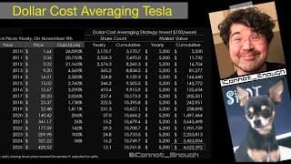 $100 of Tesla Stock per Week for 15 Years Is Worth HOW MUCH?