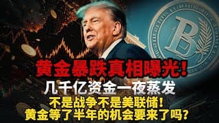 黄金暴跌真相曝光！几千亿资金一夜蒸发。不是战争不是美联储！黄金等了半年的机会要来了吗？