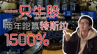 美股股票｜一只牛股。两年跑赢特斯拉 TSLA 1500% ，ENPH 股票｜美股投资入门｜美股股票分析｜美股股市分析
