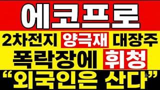 [에코프로 주가 전망] (긴급) 2차전지 양극재 대장주! 서킷브레이커 폭락장에 휘청? "외국인·기관"은 폭락장에도 샀습니다.