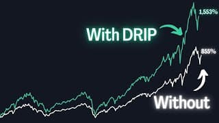 Should I Reinvest My Dividends???