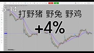 野牛没出现，打3只野味也行，明天要打野牛，看起来要出来了