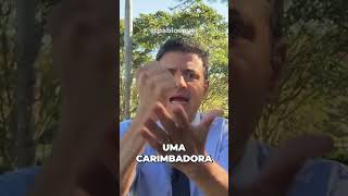 Fim da 6x1 luz para o empresariado