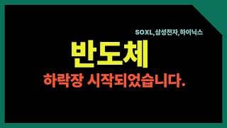 두려운 다음주 미국증시 투자전략 공개 (삼성전자,하이닉스,SOXL,메타,알파벳,구글,애플,엔비디아)