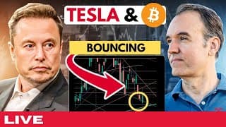 Tesla is bouncing now