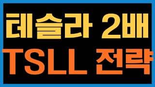테슬라가 눌릴 때마다 TSLL을 매수하는 전략