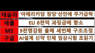 [News] 테슬라(Tesla), 애플(Apple), 마이크로소프트(MS), 구글(Google)