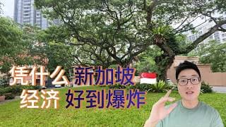 新加坡 DBS 股票涨疯了，新加坡经济为什么可以稳定上行？