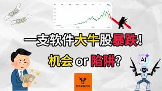 一支软件大牛股暴跌! 机会 or 陷阱?【美股分析】