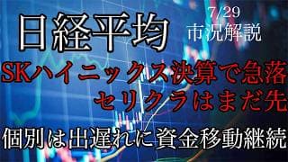 7/29【日経平均】SKハイニックス決算で急落！セリング・クライマックスはまだ先！個別は出遅れ株への資金移動継続！