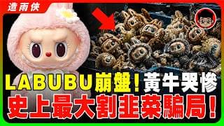 LABUBU價格一夜崩盤！黃牛血本無歸、散戶虧30萬，全部丟進垃圾桶！泡泡瑪特 股價腰斬1600億！Lisa也不愛了！盲盒神話破滅！誰在最後接盤？POPMART 崩了！