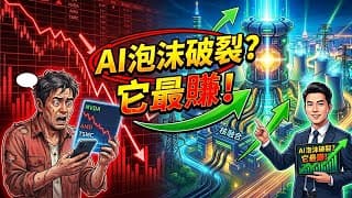 軟體股血崩只是前菜！AI泡沫破裂後，聰明錢全砸向了這個「吃電巨獸」賽道，散戶再不換倉底褲都要虧掉！#AI股票 #換倉策略 #台股美股 #投資趨勢 #散戶必看 #電網概念股
