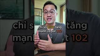 TẠI SAO VÀNG, BITCOIN GÃY ĐỔ TIỀN VÀO USD, TRÁI PHIẾU 24/06?