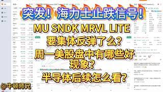 突发！海力士止跌信号！MU、SNDK、MRVL、LITE要集体反弹了么？周一美股盘中有哪些好迹象？半导体后续怎么看？