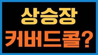 이런 상승장에 ROCQ나 SGOV를 들고 있으면 손해일까요?