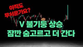 여전히 무서워하며 손가락만 빨고 계실건가요? 나스닥 비트코인 이더리움 마이크로스프트 엔비디아 테슬라 아마존 메타 팔란티어 오라클 FNGU 로빈후드 분석