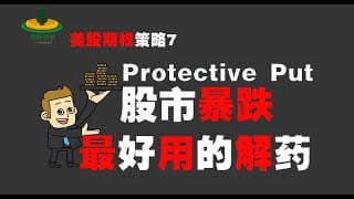 美股期权策略：股票暴跌怎么办？解药来了#期权