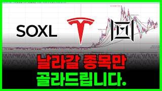 날라갈 종목만 고릅시다 (SOXL 엔비디아 테슬라 마벨테크놀로지 리게티컴퓨팅 브로드컴 팔라티어테크