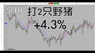 打2只野猪，2盈，明天打野牛吧