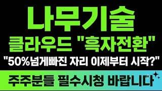 [나무기술 주가전망] (긴급) 클라우드 "흑자전환" 신고가 대비 절반 넘게빠진 자리 이제부터 시작?