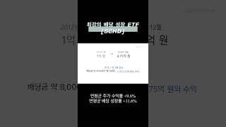 슈드, SCHD에 12년 전 1억 원을 투자했다면 #슈드 #SCHD #SCHD배당금