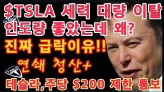 테슬라, 주당 $200 제한 통보 / $TSLA 세력 대량 이탈! 인도량 좋았는데 왜? 진짜 급락 이유!! / 사우디, 테슬라 지정 / Tesla 투자