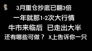 会费调整，在x上更新帖子，一只看好的股票，记得关注，半导体我不会随便入场了，真正的大行情已经走过大半