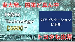 【PKSHA Technology 3993】トヨタも出資する「AIの頭脳」企業。生成AI時代の「ラストワンマイル」戦略を解説。