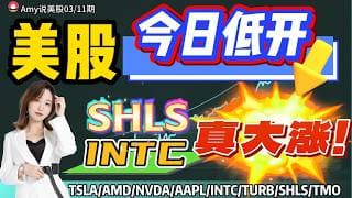 【美股3.11盘前解析】💥注意，美股今日低开！｜⚠️两只抄底后的股票要减仓吗？#美股 #tsla #nvda   #amd   #aapl   #tsm  #turb#intc#shls#meta