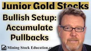 Bullish Setup for Junior Gold Miners: Accumulate on Pullbacks explains Pro Investor David Erfle