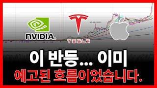 이 반등... 이미 예고된 흐름이었습니다. (테슬라 엔비디아 애플 아이온큐 팔란티어