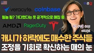 조정이 오자 기다렸다는 듯 더 담았다, 캐시우드가 지난 한달, 수천억을 들여 공격적으로 저가 매수한 종목5