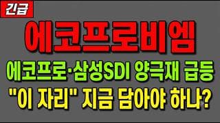 [에코프로비엠 주가 전망] (긴급) 에코프로·삼성SDI 양극재 급등! "이 자리" 지금 담아야 하나?