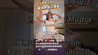 呼吸法3部曲: 一套讓你深度放鬆，改善呼吸道健康，睡眠品質，提升內部自我覺察能量的呼吸法