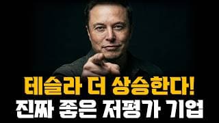 테슬라 더 상승한다! 진짜 좋은 저평가 기업 발견했습니다!