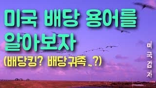 [미국 배당 투자] 미국 배당 지위 용어를 알아보자 - 배당킹? 배당귀족? 배당챔피언?