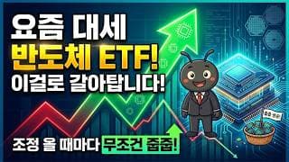 요즘 대세 반도체 ETF! 이걸로 갈아탑니다. (조정 올 때마다 무조건 줍줍)