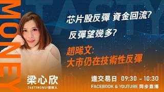 芯片股反彈 資金回流?反彈望幾多?趙晞文:大市仍在技術性反彈｜小炒王 梁心欣 ｜Tasty Money 2026-07-21