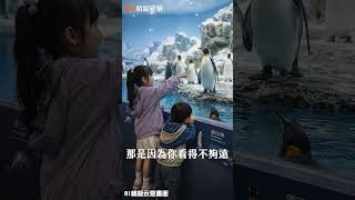 桃園在地知名建商『昭揚建築』 青埔A18推出水岸景觀宅搭配李天鐸大師 這作品令人期待