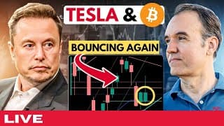 Tesla is bouncing...again?