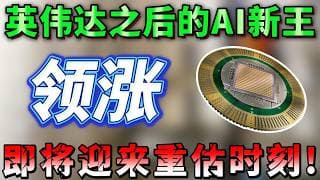 英伟达之后，AI基建的下一个隐形王者来了？市值仅NVND1/1000！错过MU,SNDK？下一个超级周期千万别再错过！ MU,SNDK,WDC,FORM, NVDA #AI硬件 #半导体 #美股投资